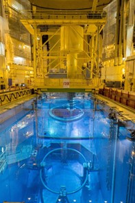 NUclear Intelligence